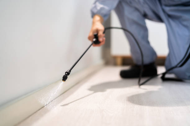 Certified termite inspector examining foundation in Troutdale